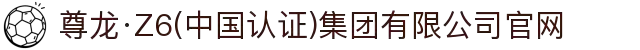 尊龙·Z6(中国认证)集团有限公司官网